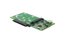 Delock - interfaceadapter - M.2 Card / SATA 6Gb/s / mSATA - USB