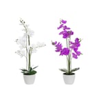 Dekorative Blomster 44 x 27 x 77 cm Syren Hvid Grøn Orkide (2 enheder)