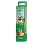 TropiClean Fresh Breath Clean Teeth Tannkrem til hund Vanilla Mint