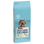 Purina Dog Chow Puppy Large Breed Kalkun - 2 x 14 kg