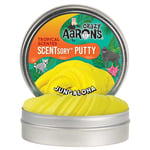 Crazy Aaron Aaron's - Scentsory Putty Sunsational (806032)