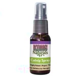 Kong Kattmynta spray