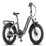Växelfri Elektrisk Cykel FAFREES F20 Master - Motor 500W Batteri 1080WH Räckvidd 110KM - Grå brons