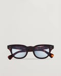 Eyevan 7285 353 Sunglasses Tortoise