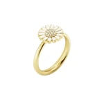 Daisy Vit Ring Guld Diamanter