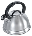 Buckingham Stainless Steel Stove Top Induction Gas Whistling Kettle 3 L - Matt