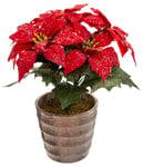 FEERIC CHRISTMAS - Plante Poinsettia Artificiel Rouge pailleté en Pot H 22 cm