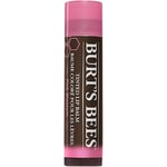 Tinted Lip Balm Pink Blossom - 4,2 g