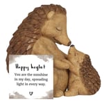 HedgeHog Ornament Mother And Baby Cute Gifts for Mum Mothers Day Gift Box Set