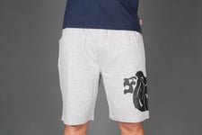 Lion Head Shorts Grey XL