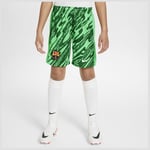 FC Barcelona 2024/25 Stadium (målvakt) - Nike, storlek Large