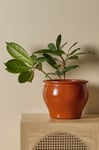 Ellos Home - Kruka Alma höjd 22,5 cm - Orange