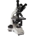 Byomic BYO-500T Stereo Microscope - trinokulaarinen mikroskooppi