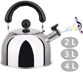 XINYA BAO 2L Tea Kettle Whistling Kettle Camping Brushed Stainless Steel with Folding Handle for Induction Cookers Gas Hobs