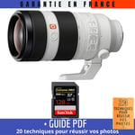 Sony FE 100-400mm f/4.5-5.6 GM OSS + 1 SanDisk 128GB UHS-II 300 MB/s + Guide PDF 20 techniques pour réussir vos photos