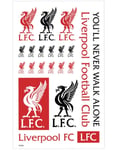 12 st Tillfälliga Liverpool FC Tatueringar