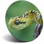 Awesome Fridge Magnet - Bush Viper Snake Nature Wild Cool Gift #2248