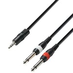 Adam Hall Cables 3 STAR YWPP 0100 - Câble Audio Mini-Jack 3,5 mm stéréo vers 2 x Jack 6,35 mm mono 1 m
