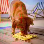Little&Bigger Blossom 3D Slow Feeder i Silikon Gul