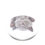 PopSockets PopGrip Mobilhållare / ställ med avtagbar top, Cat Nap