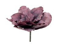 EUROPALMS Giant Flower (EVA), artificial, old rose, 80cm, EUROPALMS Giant Flower (EVA), konstgjord, gammal ros, 80cm