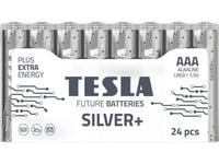 Tesla Batteri Tesla Silver+ Aaa Lr3 /10 Gammal