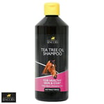 Lincoln Tea Tree Oil Shampoo  Deep Cleansing  Healthy Coat and Skin Moisturising