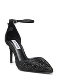 Linsey-R Pump Shoes Heels Pumps Classic Black Steve Madden