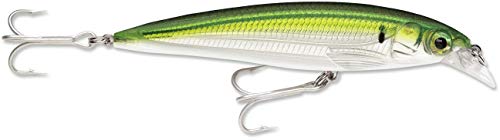 Rapala X-Rap Saltwater Lure with Two No. 2 Hooks, 1.2-2.4 m Swimming Depth, 12 cm Size, Pilchard