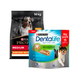 Köp Medium Adult Everyday hundfoder - Få Dentalife på köpet - 3 kg