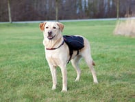 Trixie Klövjeväska  Nylon Large-X-Large 31x17cm Svart