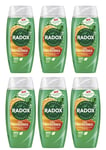 Radox Feel Refreshed 2in1 Shower Gel Eucalyptus & Citrus 225ml x 6
