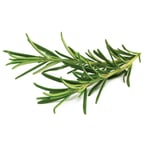 Click and Grow - Smart Garden Refill 3-pack - Rosemary (SGR51X3)