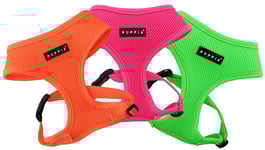 Kattsele Puppia Soft Neon, Orange, XS