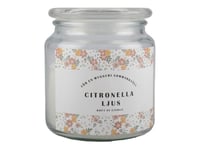 Citronella-ljus klar 11 cm