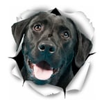 Autocollants 3D pour chien – Lot de 2 – Autocollants mignons Labrador noir pour mur, réfrigérateur, toilettes et plus – Autocollants Labrador noirs