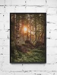 Poster Skogen - 40x50 cm