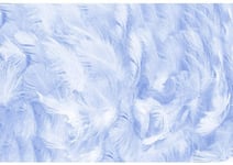 HD 7x5ft Polyester Photography Backdrop Soft Blue Chicken Feather Texture Background for Kids Adults Portrait Shoot Artistic Photo Birthday Photo Studio Backdrop Props