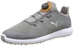 PUMA Men's Ignite PWRADAPT DISC Golf Shoes, Quiet Shade-Quiet Shade, 8 UK 42 EU