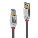 Lindy 3m USB B 3.0 Cable, USB-A Male to USB-B 3.0 Male Type B, Monitor, for External Hard Drive, Scanner, Printer, Cromo Line