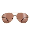 Calvin Klein Aviator Mens Gold Brown CK19316S Metal (archived) - One Size