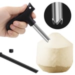Tool Coconut Drill Hole Opening Driller Punching Tool Coconut Shell Opener