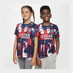 Nike Paris Saint-Germain Tränings T-Shirt Dri-FIT Academy Pro Pre Match - Navy/Röd Barn adult FQ0015-411