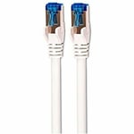 Network Cable Cat6a Stp White/blue 10m