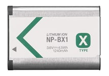 Amsahr BT-SNNPBX1-1CT Numérique Remplacement Caméra/Caméscope Batterie pour Sony Np-Bx1/Dsc-Hx50V/Dsc-Rx1/Np Bx1/Hdr-As10/Hdr-As15 Gris