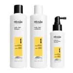 Nioxin System 1 Loyalty Kit for Thinning Hair Hårvårdskit, 700 ml