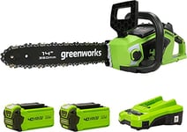 Greenworks Tronçonneuse à Batterie avec Moteur Sans Balais, Longueur Guide-Chaîne 14 Pouces (35cm), Vitesse de Chaîne 12 m/s, 3,5 kg, Anti-Rebond, 2 Batteries 40V 2Ah, Chargeur-GD40CS15K2X