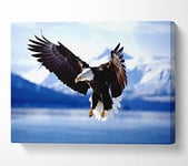 Bald Eagle In Flight Alaska Canvas Print Wall Art - Small 14 x 20 Inches