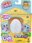 Little Live Pets Surprise Chick: Interactive Collectible Toy - Blue Egg