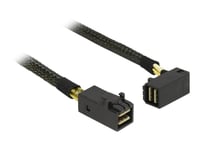 Delock - Intern Sas-Kabel - Sas 12Gbit/S - 4X Mini-Sas Hd (Sff-8643) (Hane) Rak Till 4X Mini-Sas Hd (Sff-8643) (Hane) Vinklad - 50 Cm